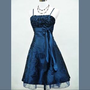 ❗️SALE CLOSET CLEAR❗️Blue rose satin & tulle dress